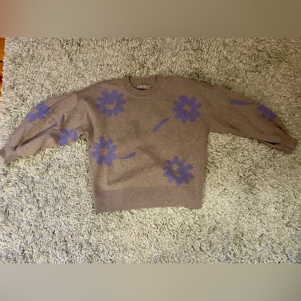 Everlane Sweater
